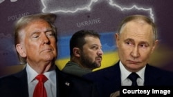 Tramp, Zelenski, Putin