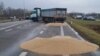 Розсипане учасниками блокування кордону з Україною зерно. Польща, поблизу пункту пропуску «Дорогуськ-Ягодин». 11 лютого 2024 року