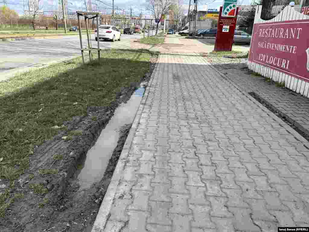 Un trotuar din municipiul Iași, de la câțiva kilometri de centrul orașului. 