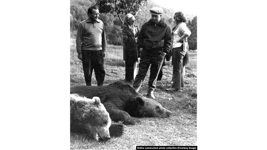 Ceausescua posmatra red tek ubijenih medvjeda u Bistriti, sjeverna Rumunjska, 1972. godine.