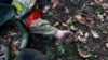 Російська армія втратила понад 63 тисячі військових в Україні – ЗСУ