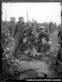 Родина виноробів, район Яломіта, Румунія, приблизно 1940 рік. Виноробна культура Румунії налічує кілька тисяч років, але у 1880-х роках комахи-шкідники знищили більшу частину виноградників країни. Потім багато місцевих сортів винограду було замінено французькими