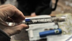 Стартавая мурашыная калёнія з сваім мэнталітэтам