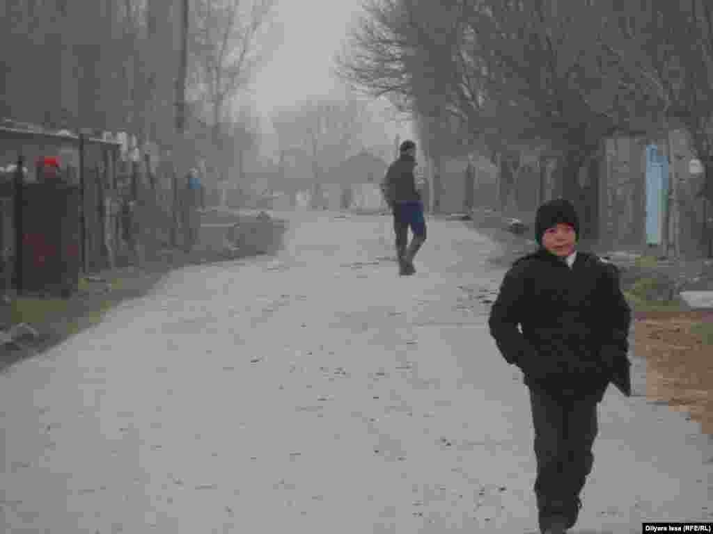 Власти Сарыагашского района говорят, что село Багыс не может появиться на карте из-за того, что работы по ратификации границы между Казахстаном и Узбекистаном еще не завершены. Жители рассказывают, что из-за этих проблем в селе не достроена школа, в Багыс не проведен газопровод. 