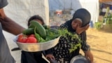 Raseljeni farmer iz Gaze uzgaja povrće kako bi 'preživio još jedan dan' 