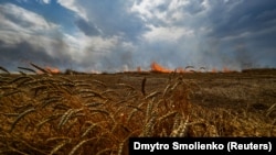 Палаюче пшеничне поле поблизу лінії фронту на адміністративній межі між Запорізькою та Донецькою областями. 2022 рік