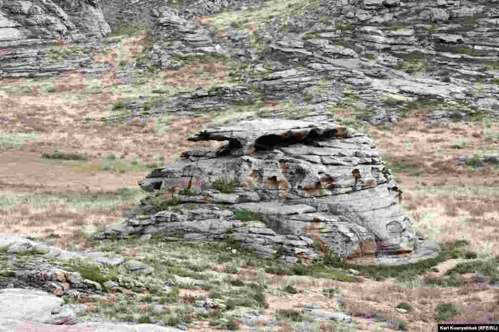 Некоторые скалы как скульптуры животных. 