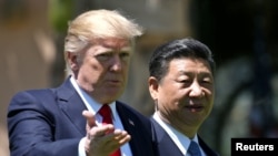 АКШ президенти Дональд Трамп жана Кытай лидери Си Цзинпин