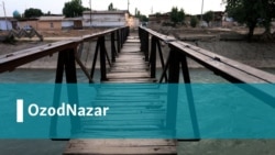 Шароф Убайдуллаевнинг OzodNazarи:
