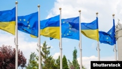 Позиція трьох держав збігається з офіційною заявою ЄС про засудження дій Кремля