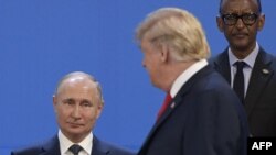 V.Putin və D.Tramp