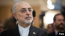 علیاکبرصالحی، رئیس سازمان انرژی اتمی ایران، میگوید «کمیته مشترک بازسازی رآکتور اراک» کار خود را خوب انجام میدهد