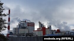 Завод сульфатнай беленай цэлюлёзы