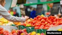 Иллюстрациялык сүрөт