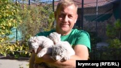 Олег Зубков с белыми тигрятами, архивное фото