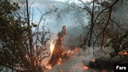 سازمان هواشناسی ايران، چهارشنبه هفتم فروردين ماه با اعلام خبر افزايش دما در سواحل خليج فارس با صدور اعلاميه ای نسبت به احتمال آتش سوزی در جنگل های واقع در نوار شمالی ايران هشدا داده بود. (عکس از فارس)