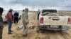 Число обнаруженных на Каспии туш тюленей перевалило за 500. На берегу находят мертвых птиц и рыбу