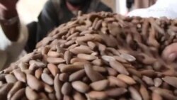 خوستي سوداګر بهر ته د زڼغوځیو د صادرولو غوښتنه لري 