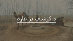 ۲۰۱۷ کال پښتو کتابونو لپاره څنګه و؟