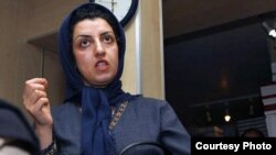 نرگس محمدی، فعال حقوق بشر 